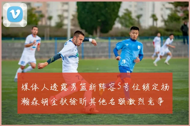 媒体人透露男篮新阵容5号位锁定杨瀚森胡金秋徐昕其他名额激烈竞争